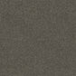 Revive carpet in Chelsea Grey