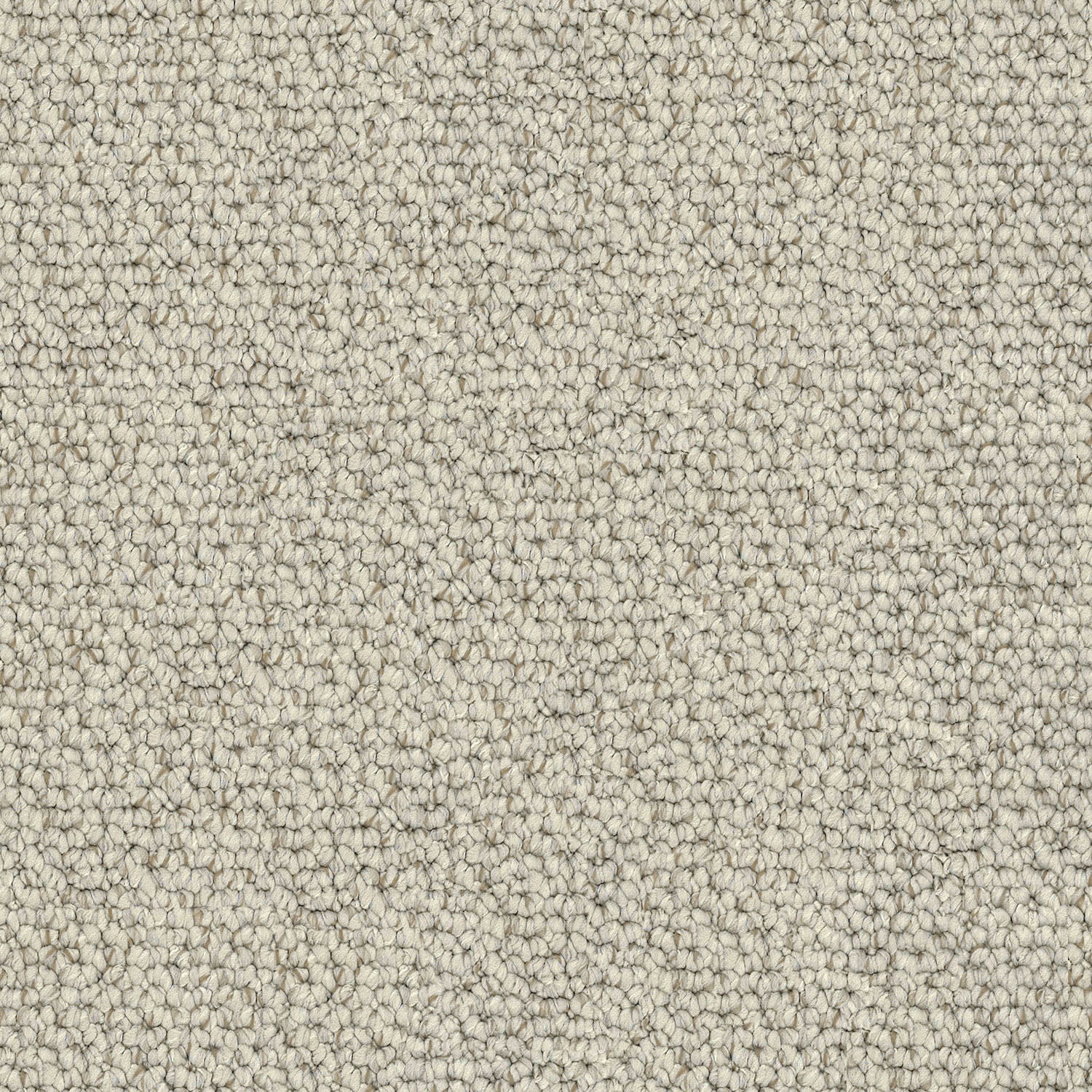 Carpathian carpet in Foothills