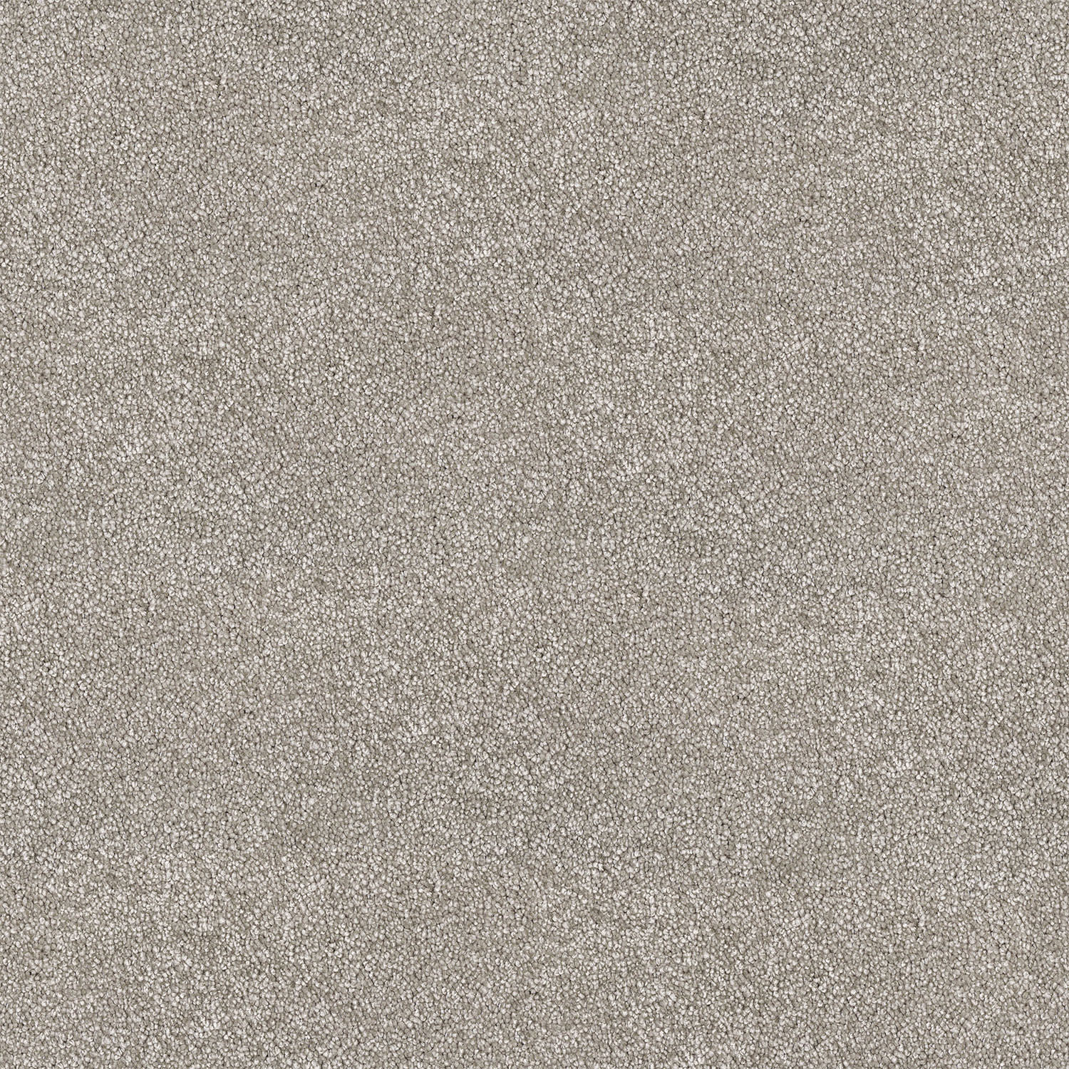 Barossa carpet in Antelope
