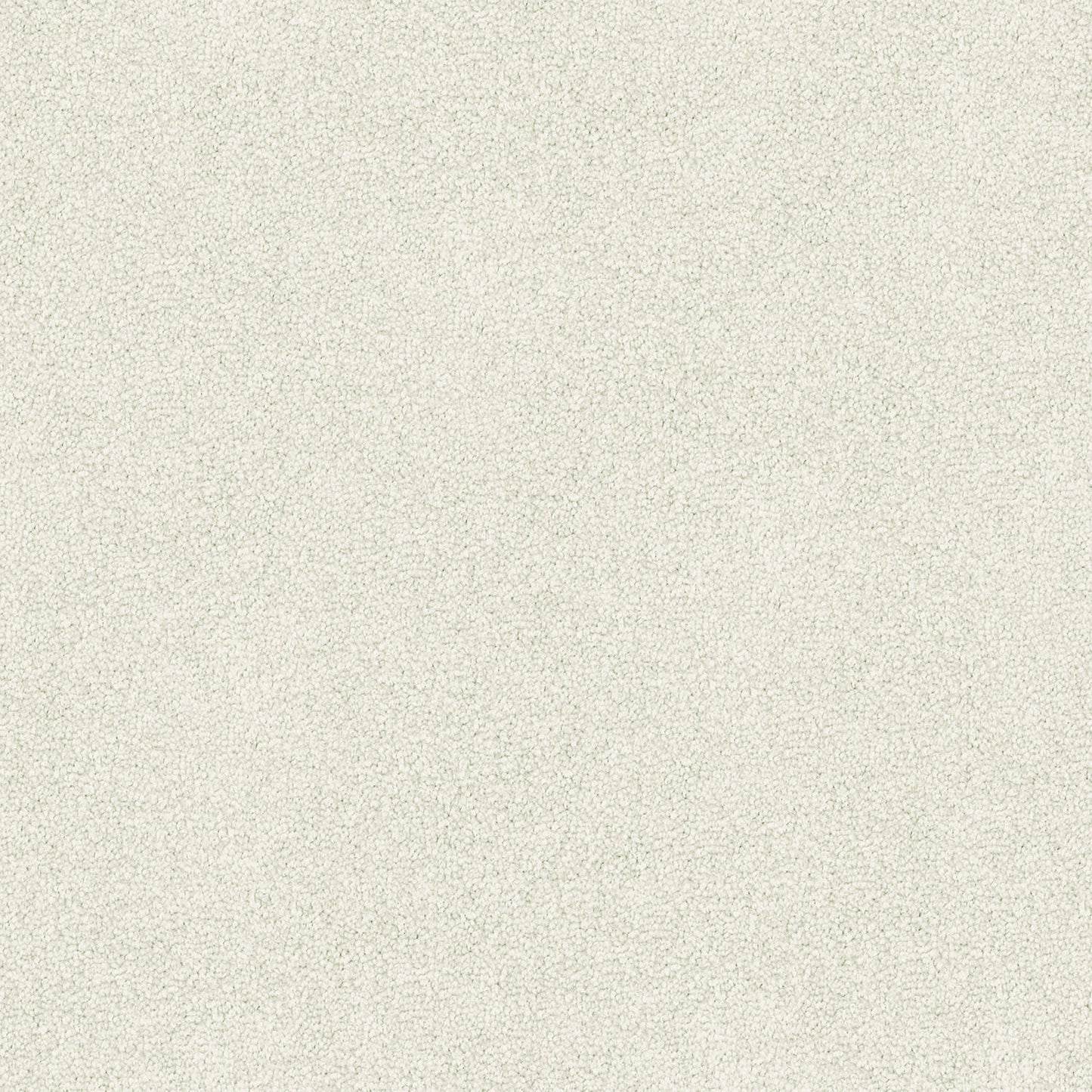 Freedom carpet in Chiffon Grey