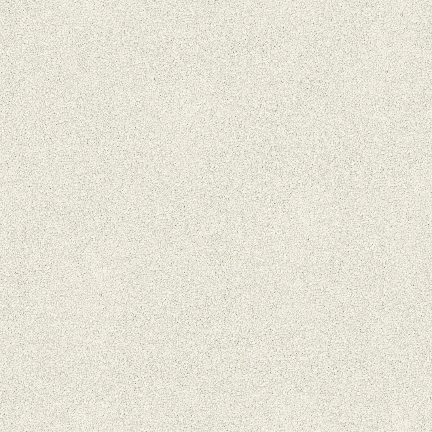 Freedom carpet in Chiffon Grey