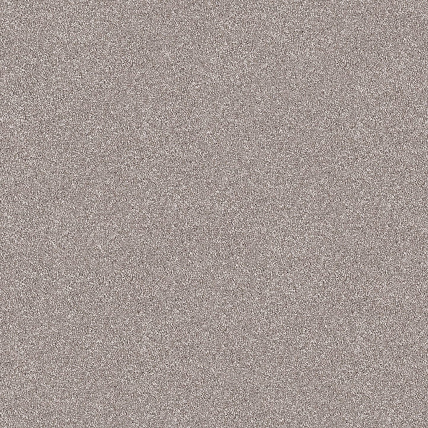 Velura carpet in Bird Feather