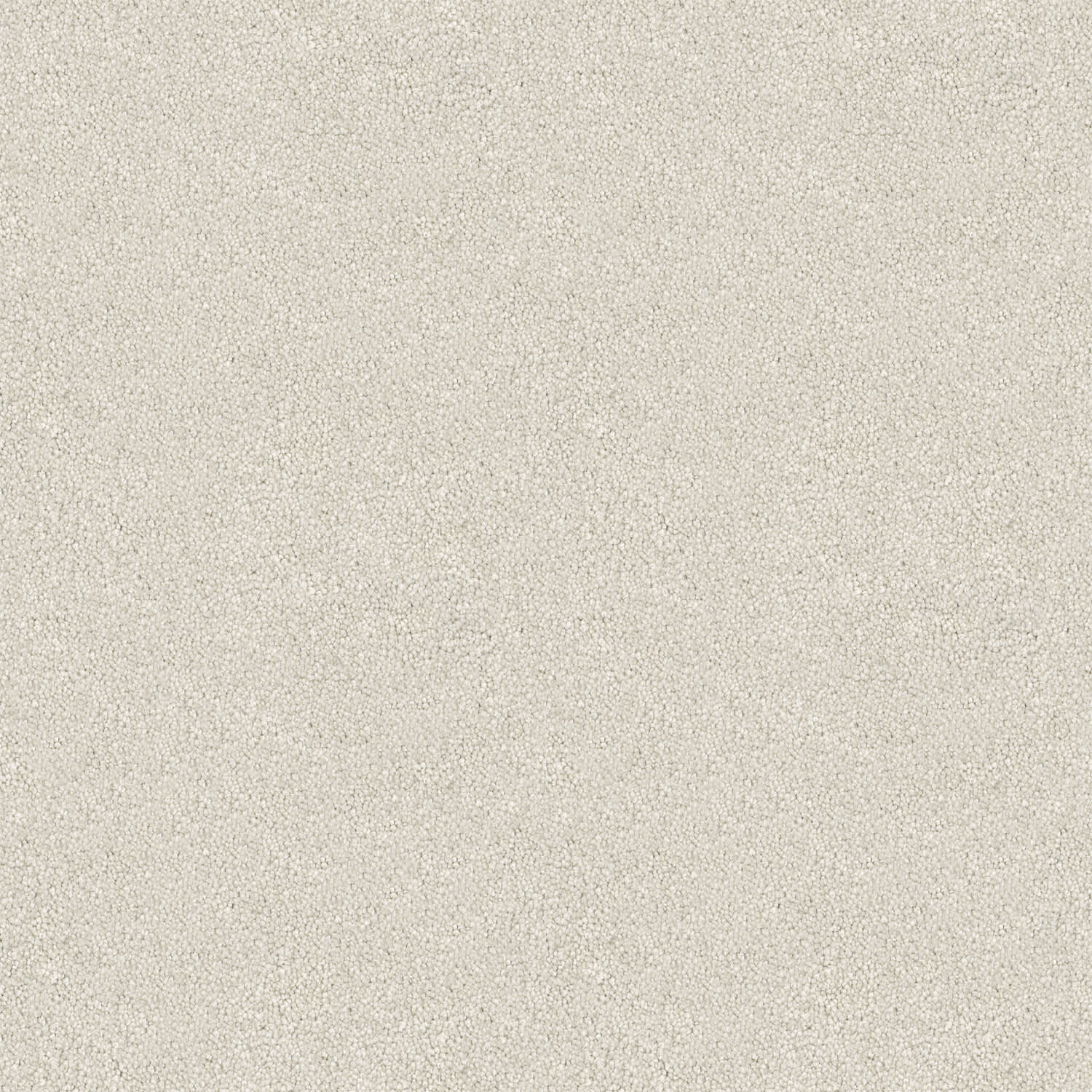 Velura carpet in Bare Canvas