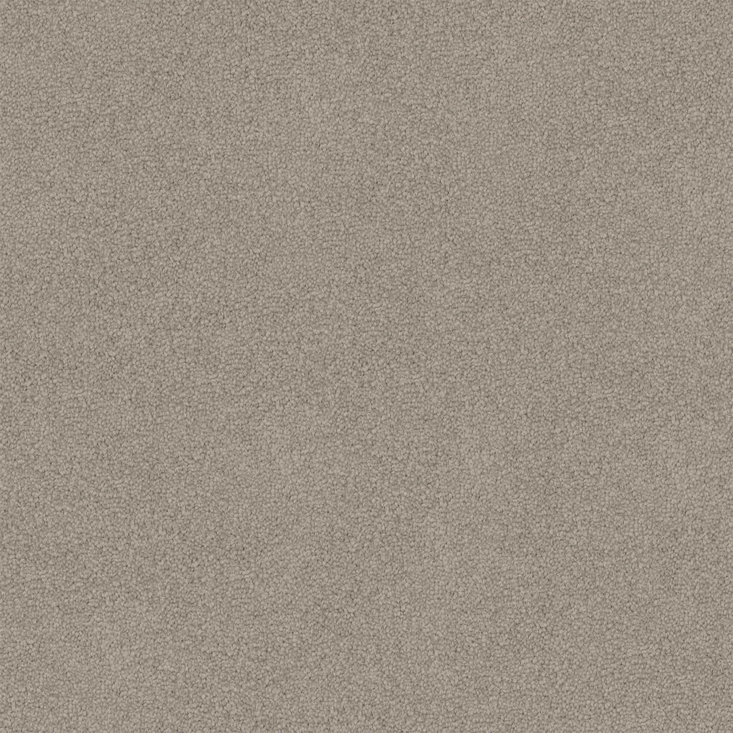 Entertaining carpet in Bluestone