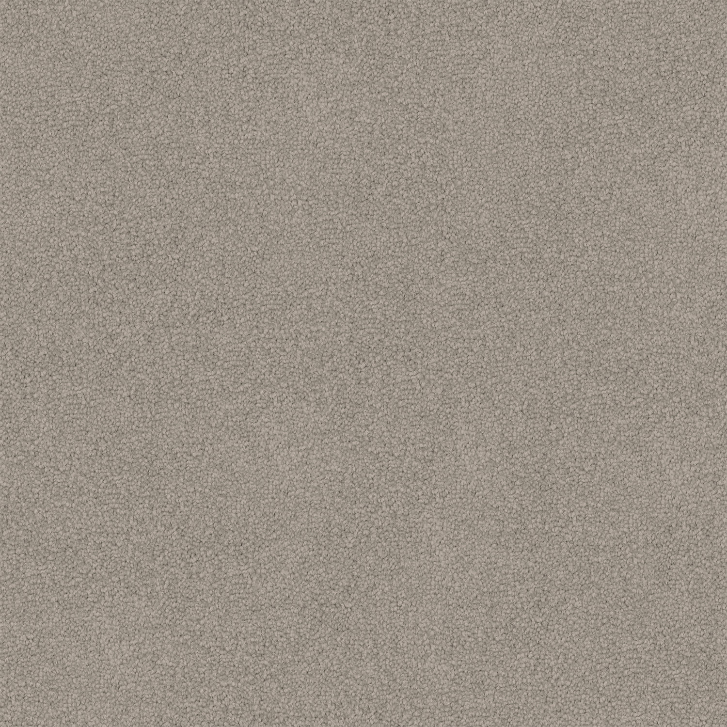 Entertaining carpet in Bluestone