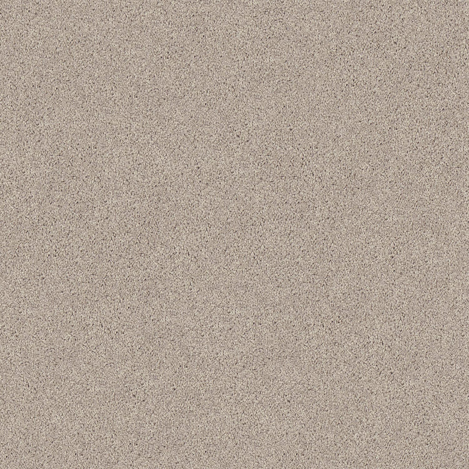 Regal Elegance carpet in Willow