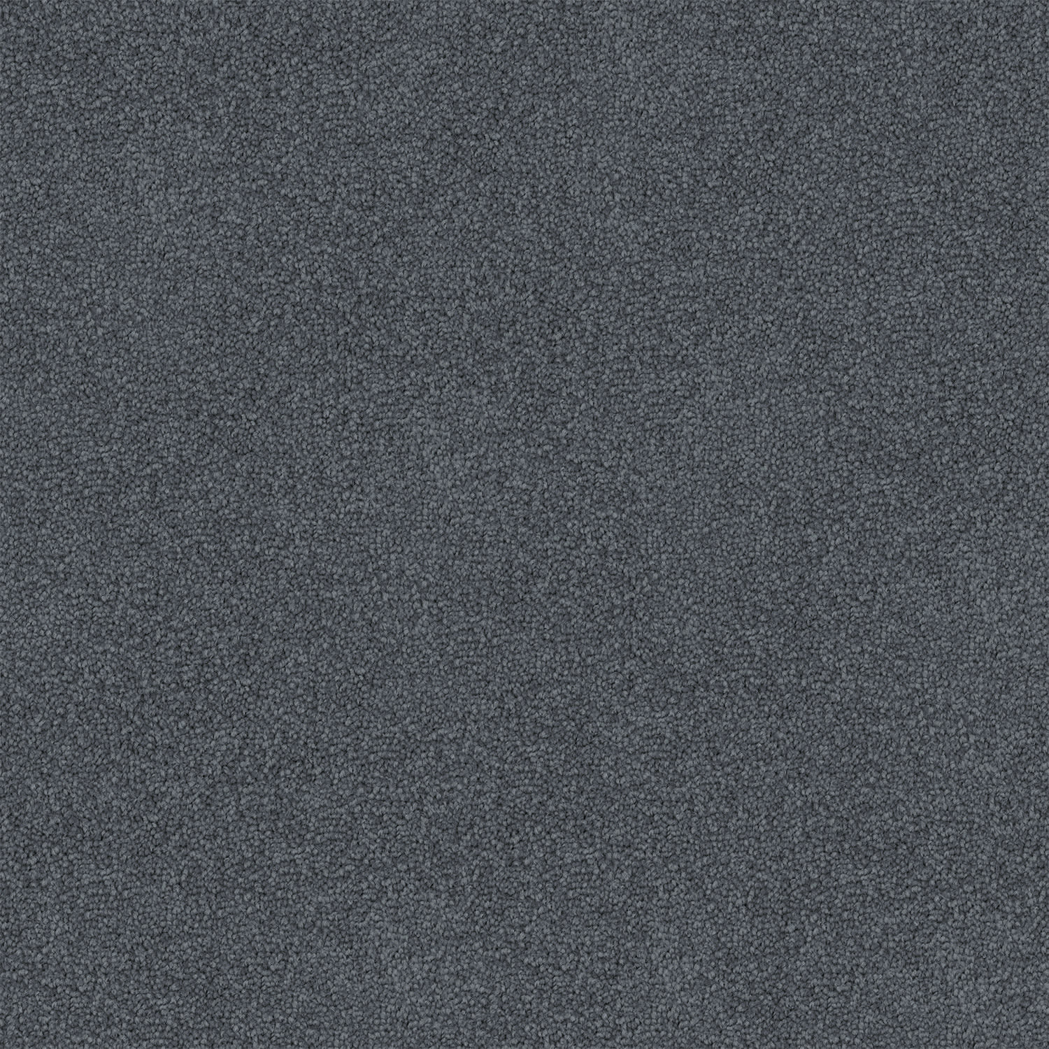 Dawn Rise carpet in Blue Iris