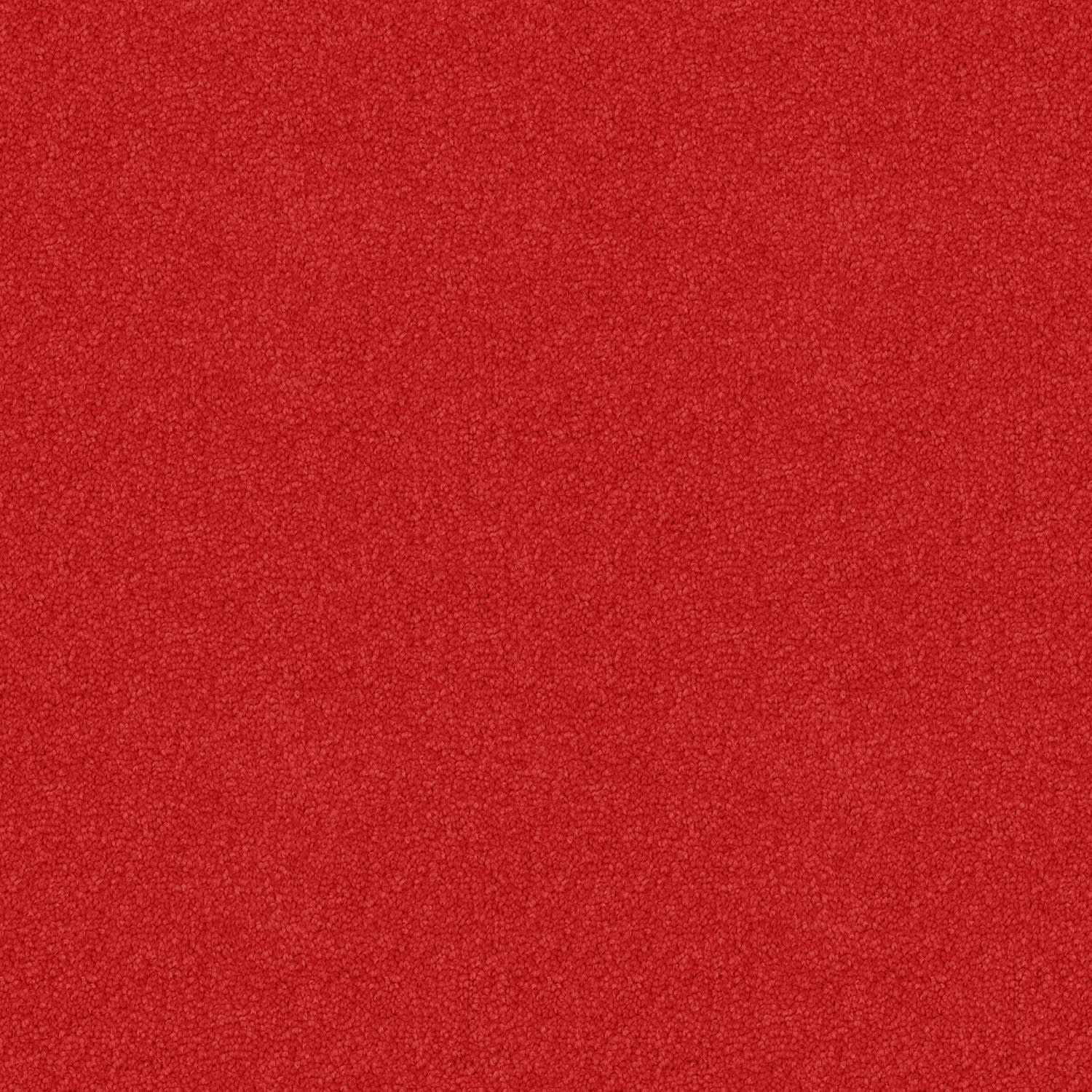 Skyway carpet in Red Hot