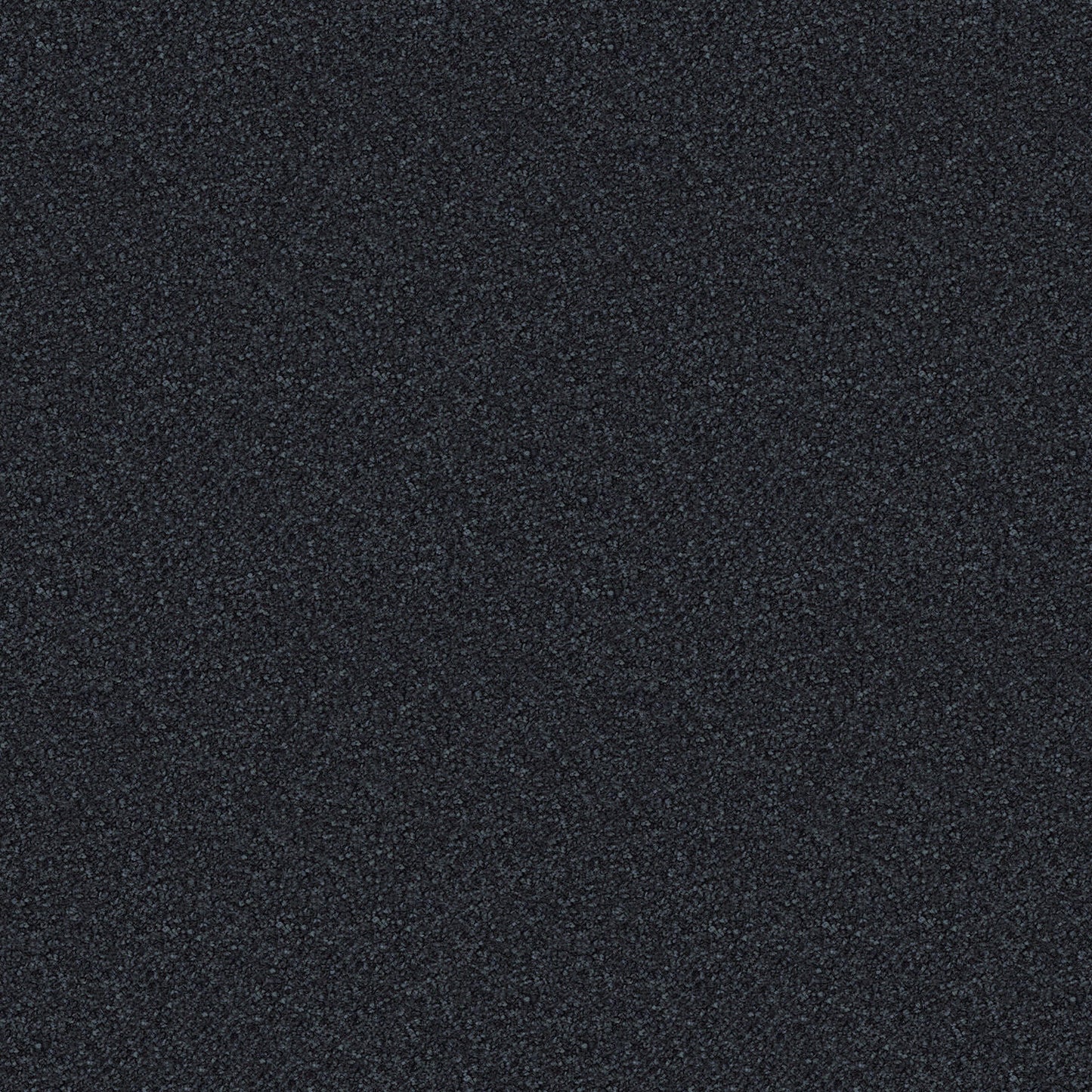 Scenic View carpet in Freshwater