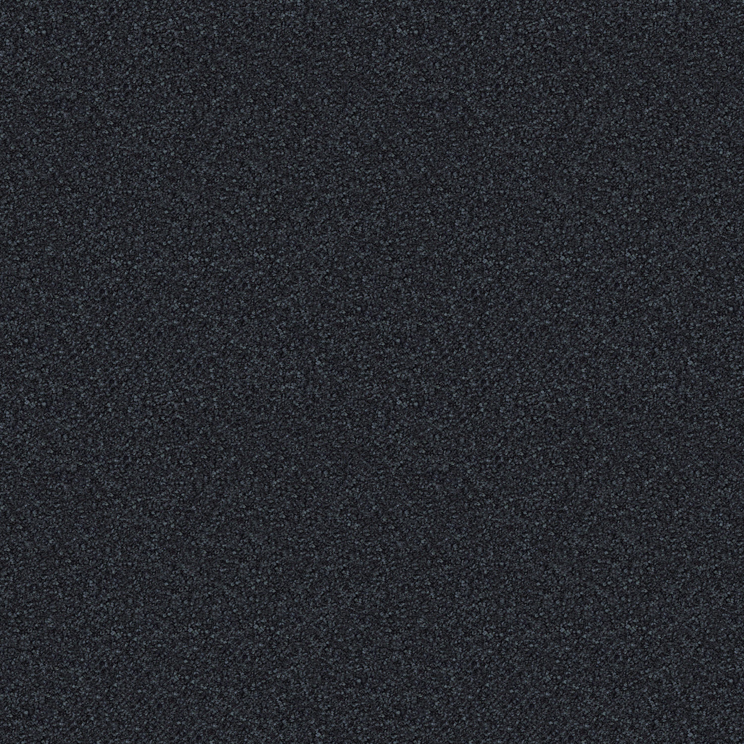 Scenic View carpet in Freshwater