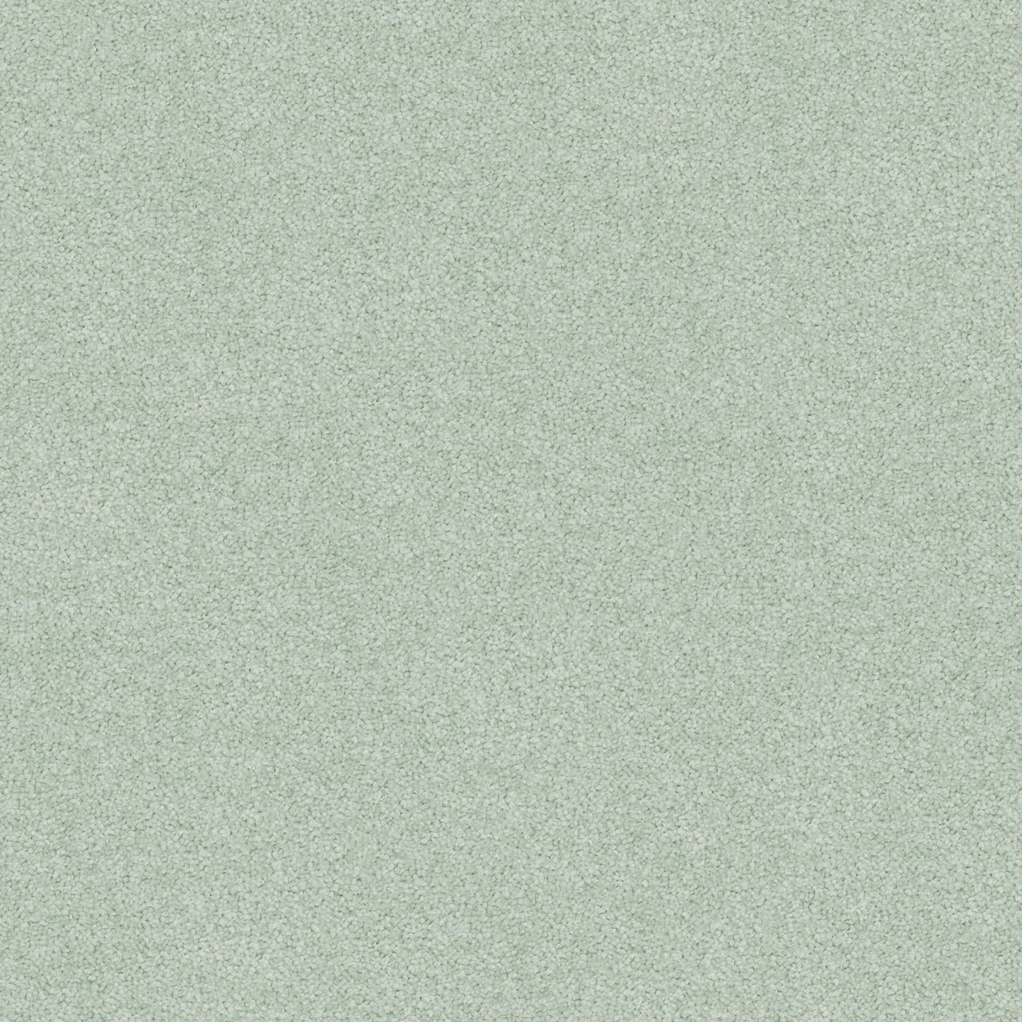 Nightfall carpet in Pottery