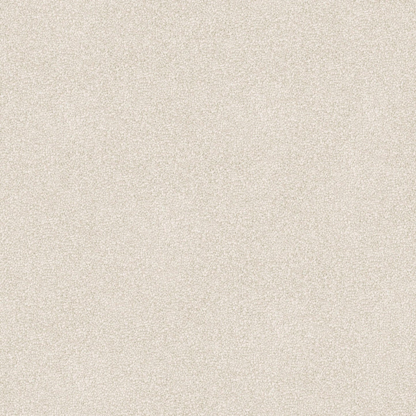 Entertaining carpet in Light Beige