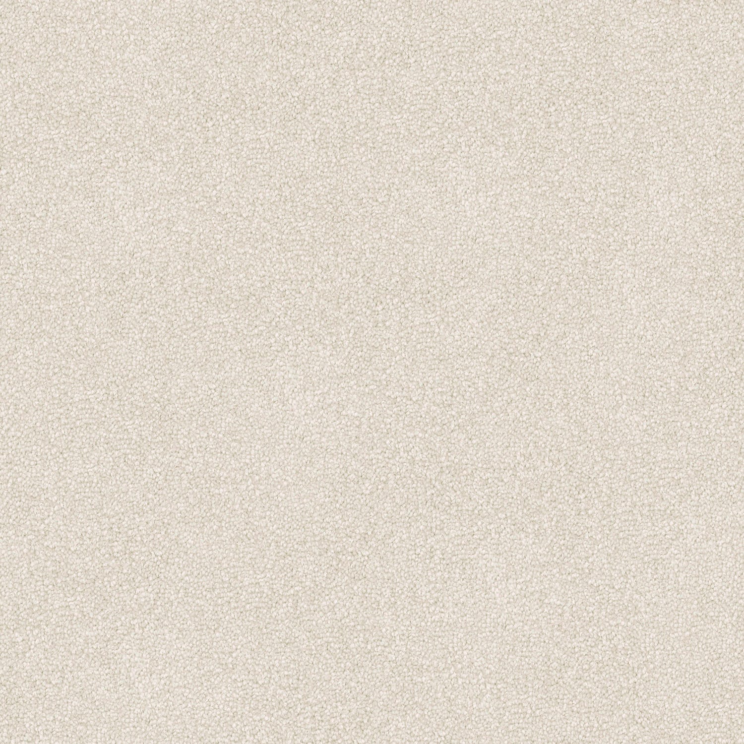 Entertaining carpet in Light Beige