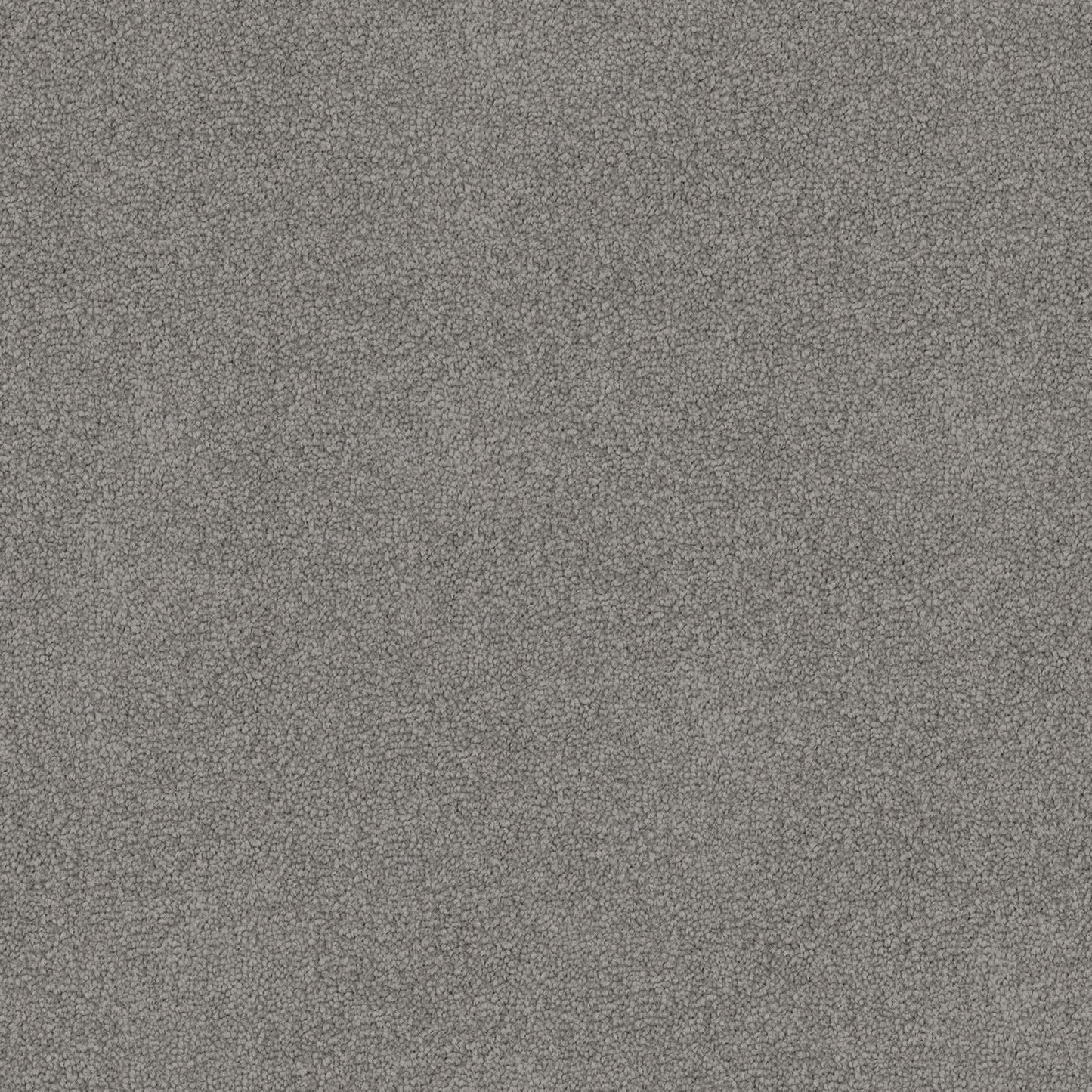 Nightfall carpet in Grey Cement