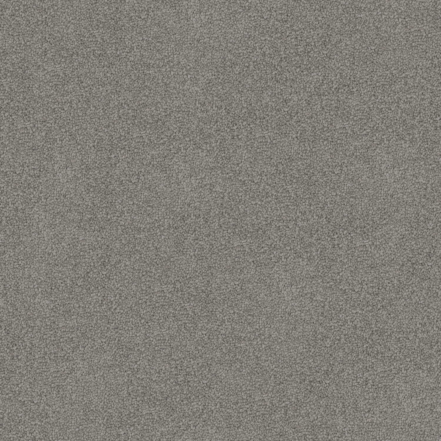Nightfall carpet in Grey Cement