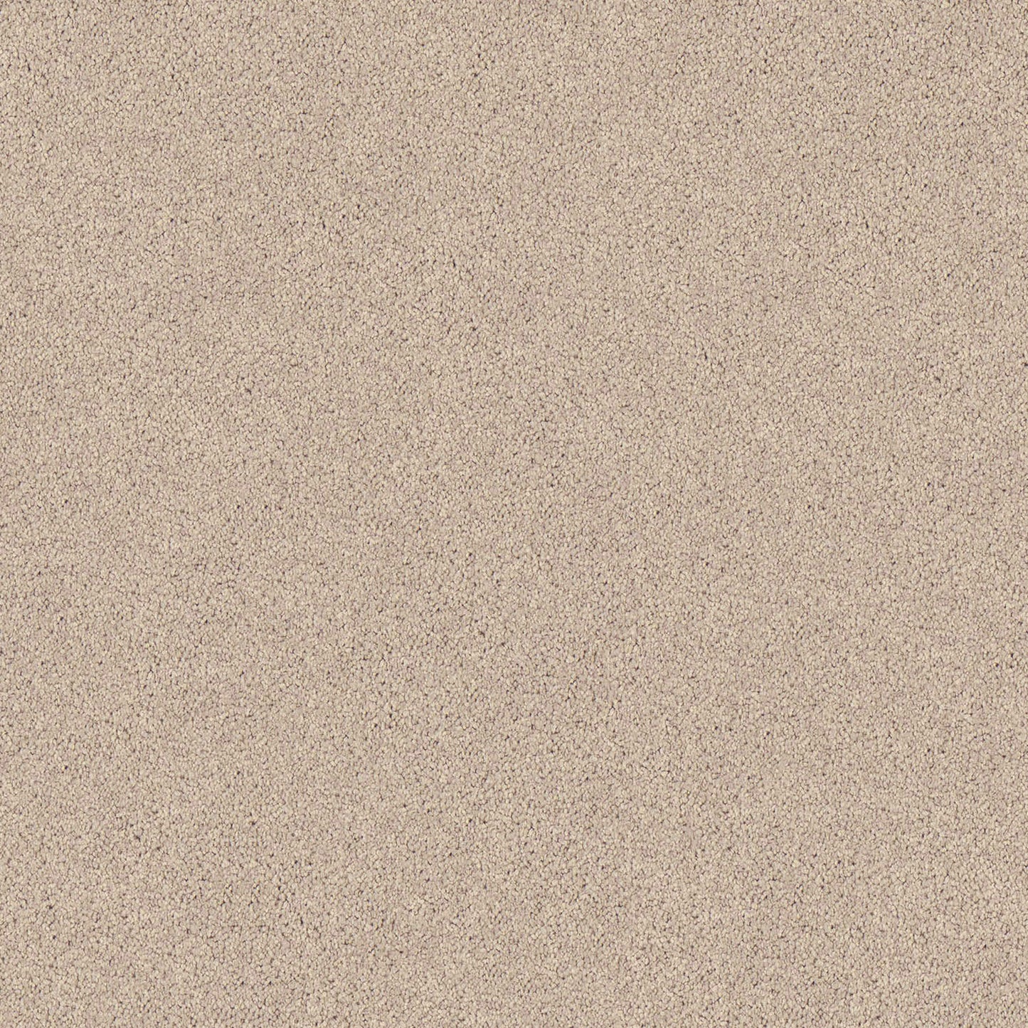 Regal Elegance carpet in Fallen Oak