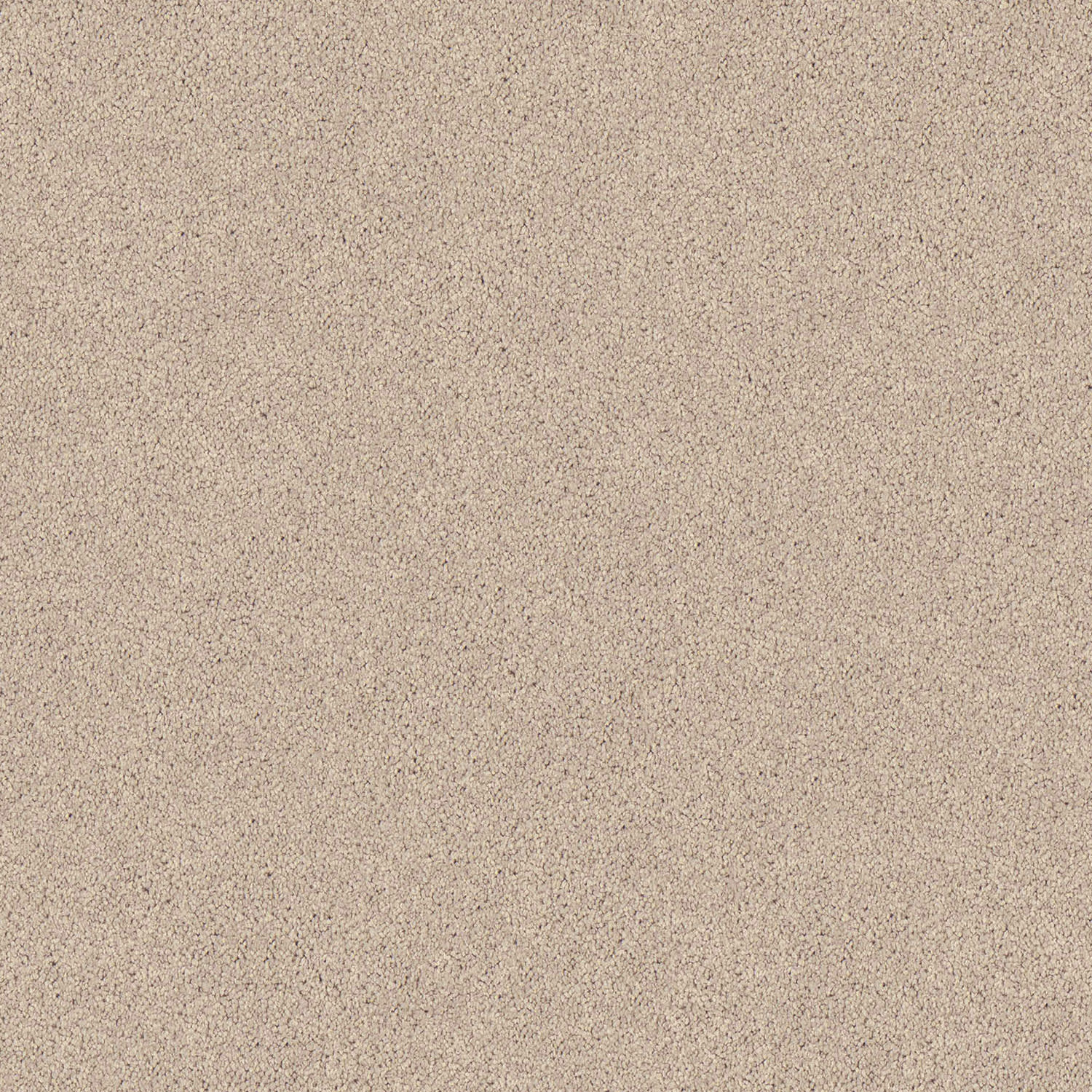 Regal Elegance carpet in Fallen Oak