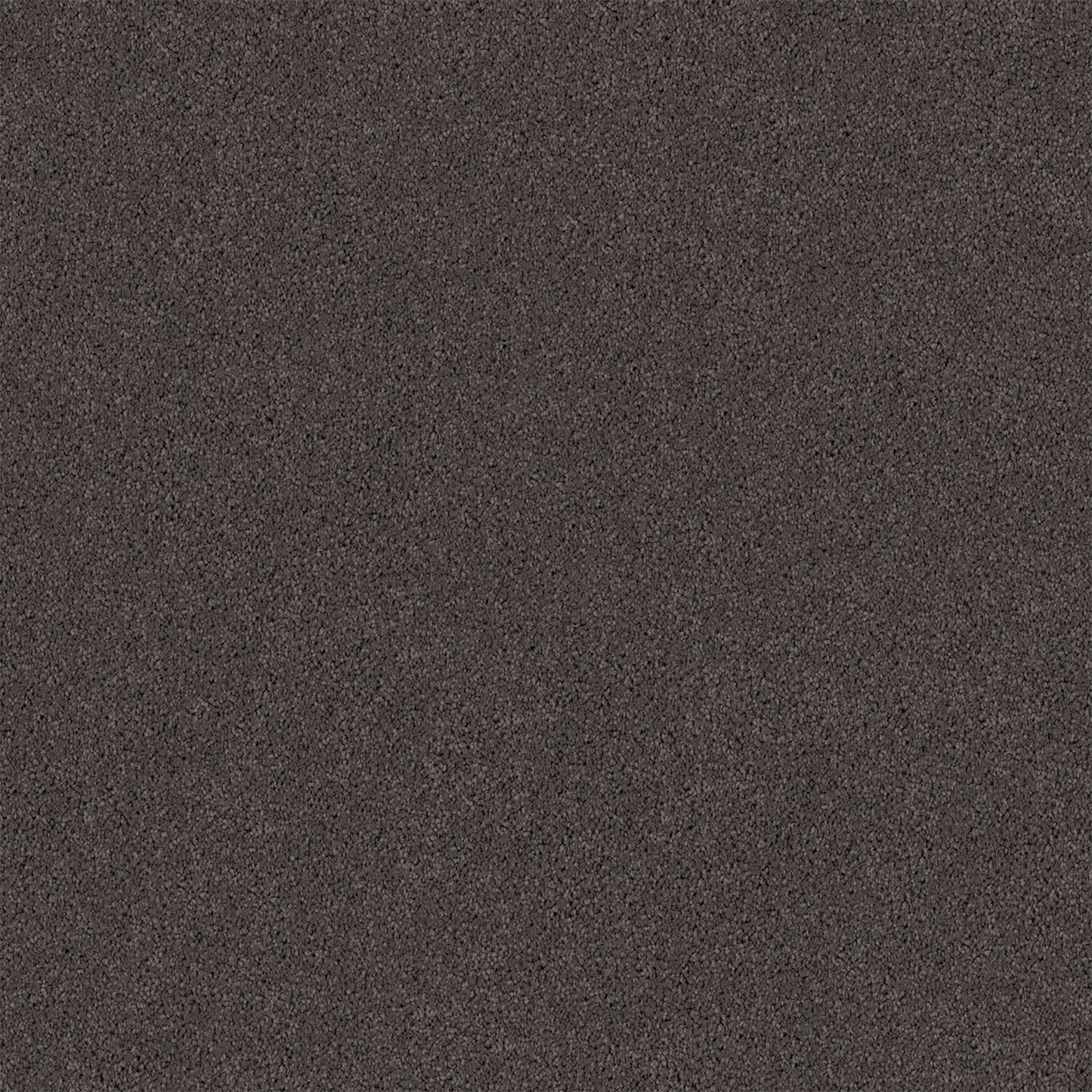 Gentle Essence carpet in Cuban Stipple