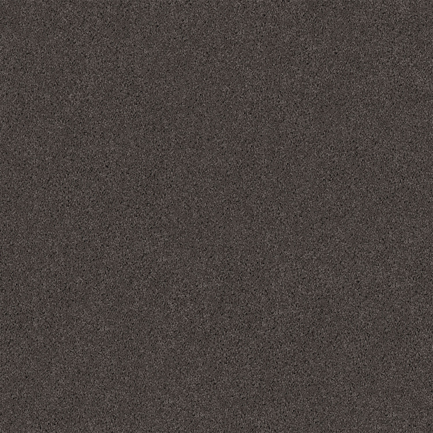 Gentle Essence carpet in Cuban Stipple