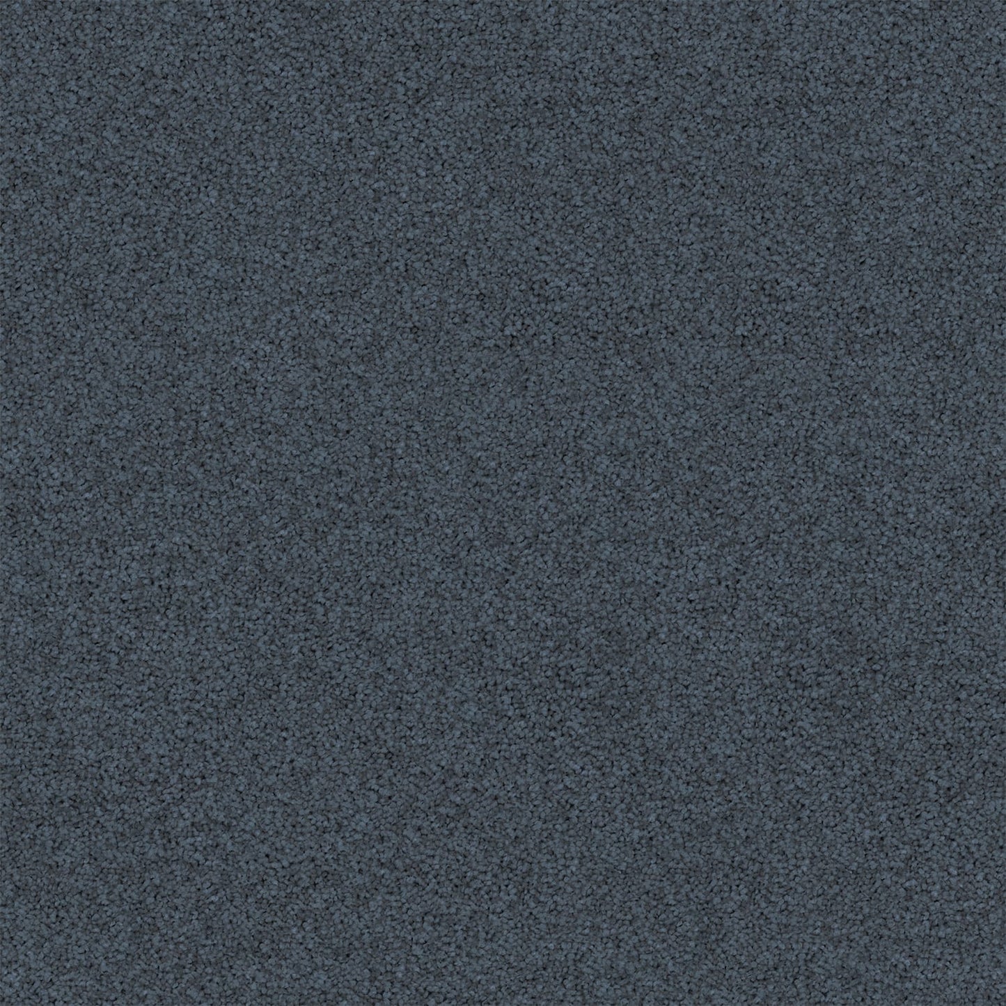 Revive carpet in Anemone
