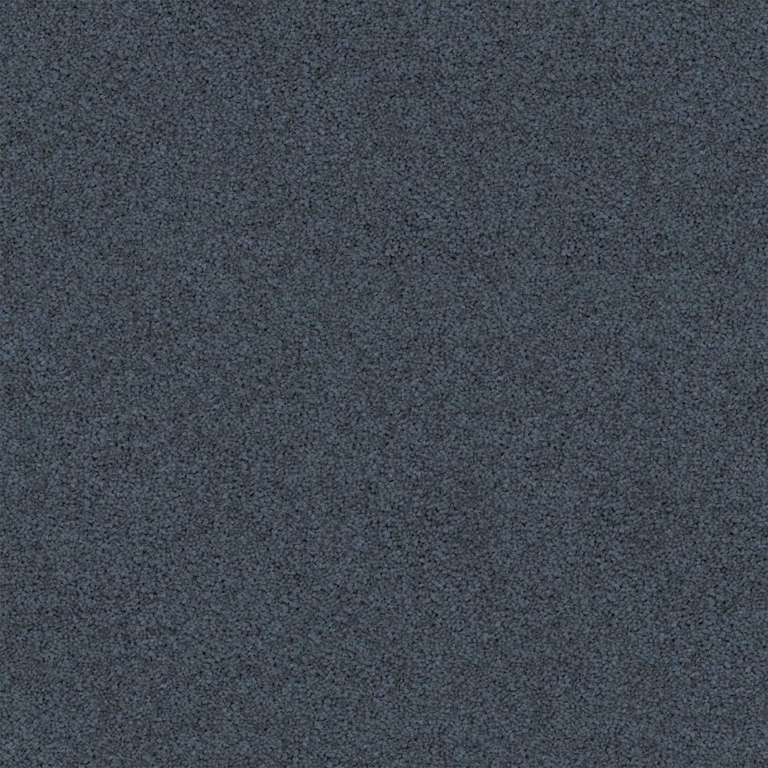 Revive carpet in Anemone