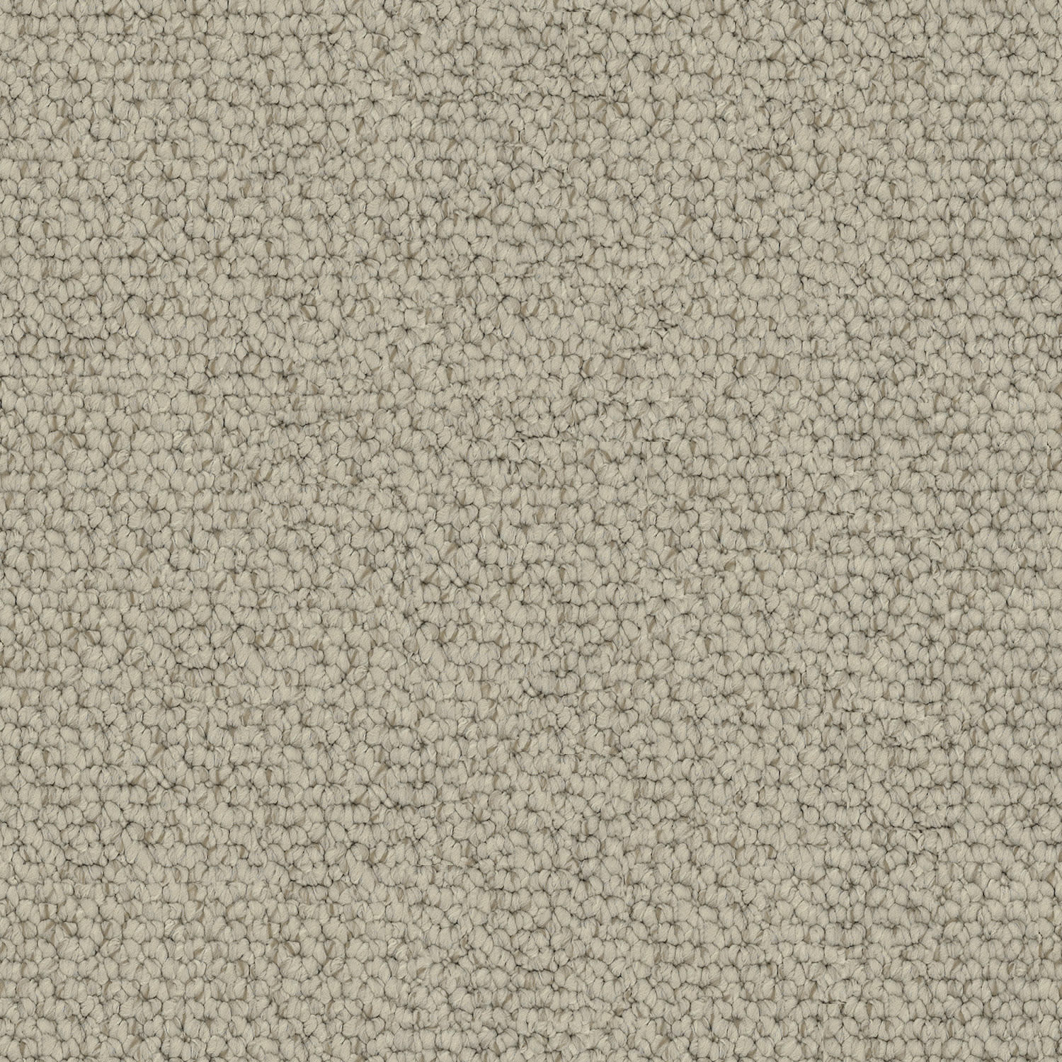 Carpathian carpet in Alps