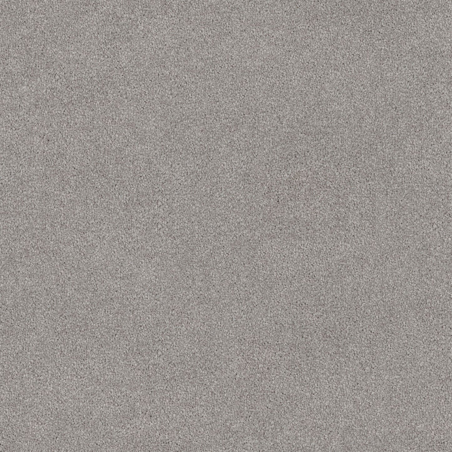 Lasting Touch carpet in Pearl Ash