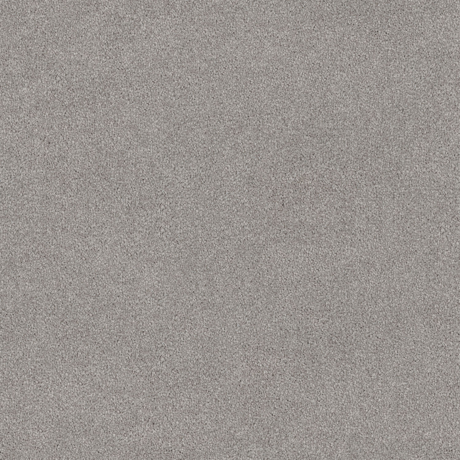 Lasting Touch carpet in Pearl Ash