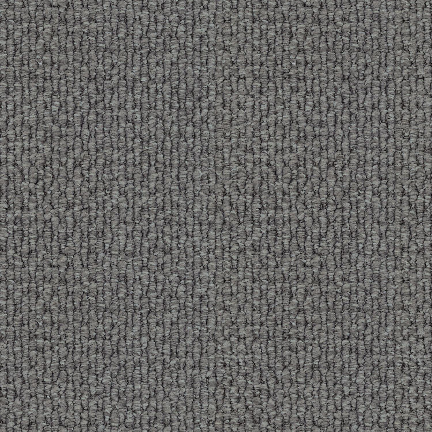 Central Valley carpet in Blue Fox