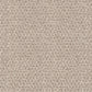Central Valley carpet in Sheer Beige