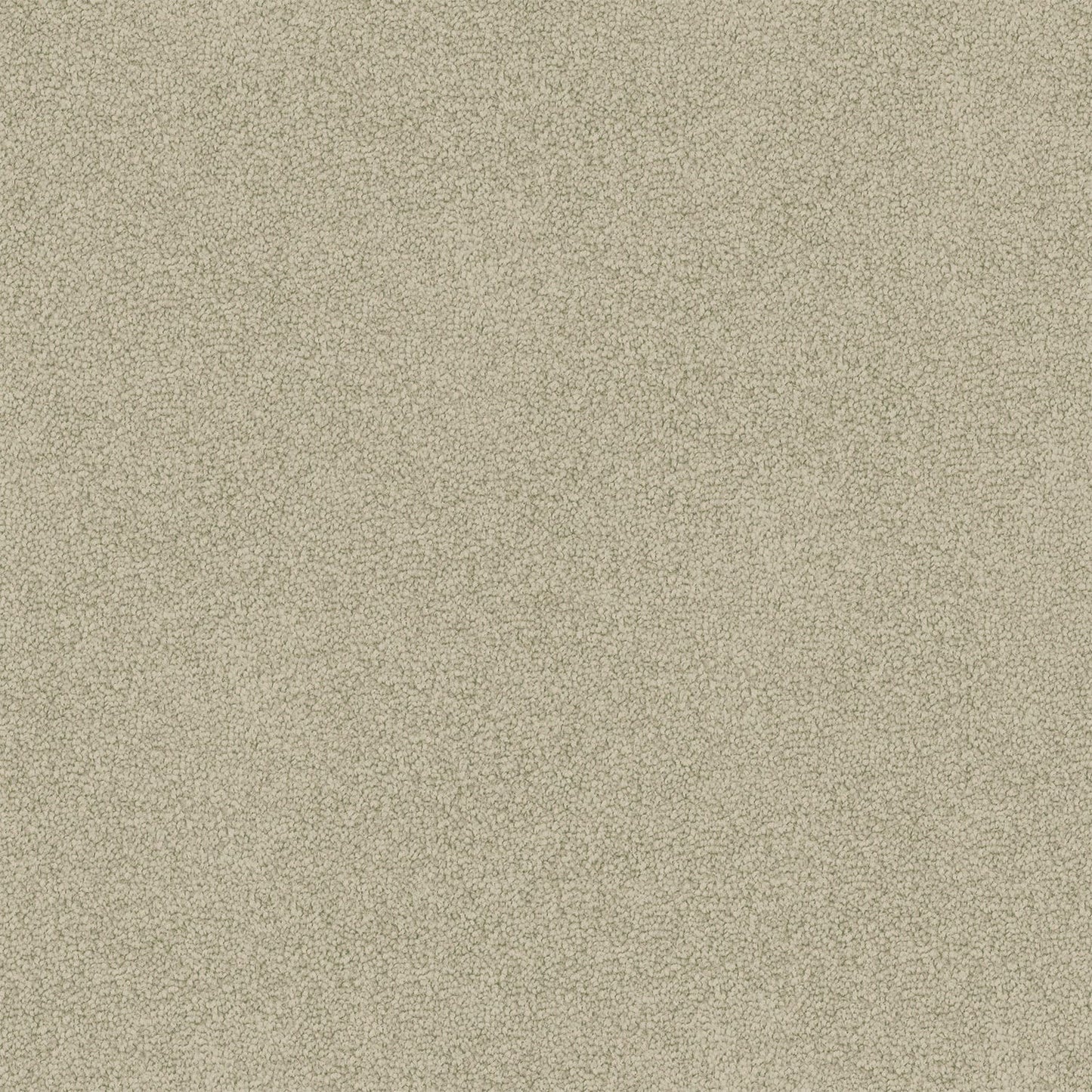 Freedom carpet in Soft Clay