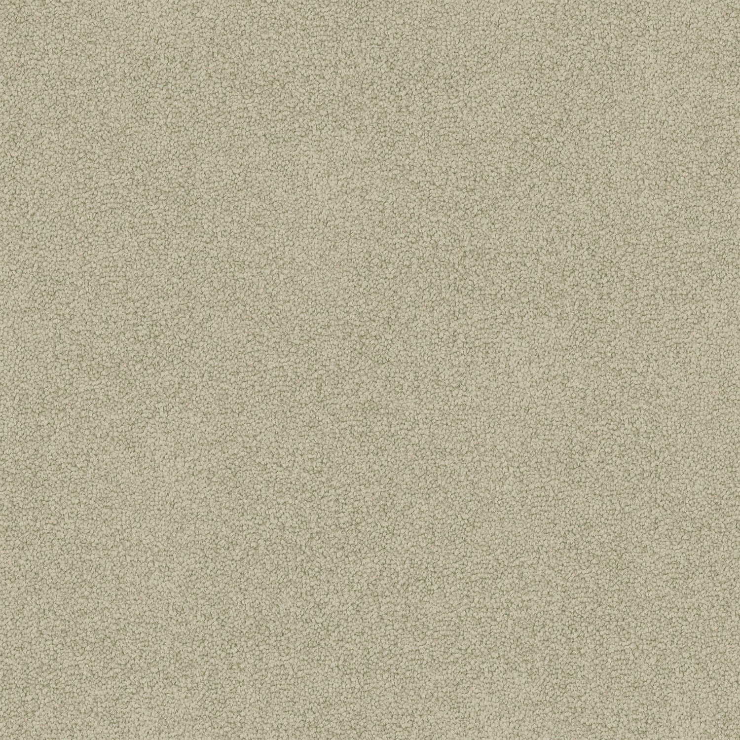 Freedom carpet in Soft Clay
