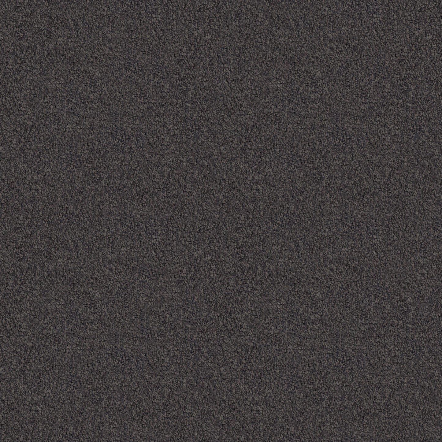 Velura carpet in Mocha Delight