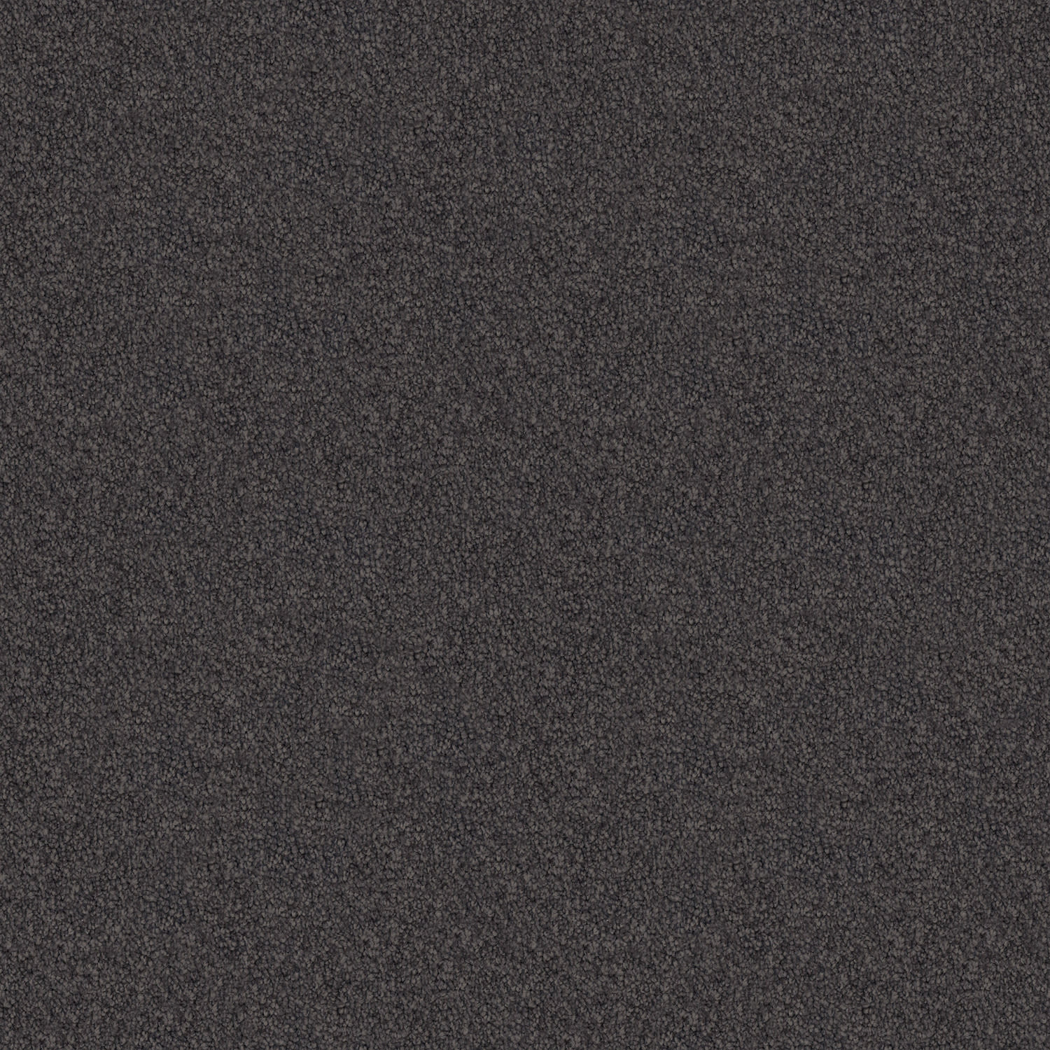Velura carpet in Mocha Delight