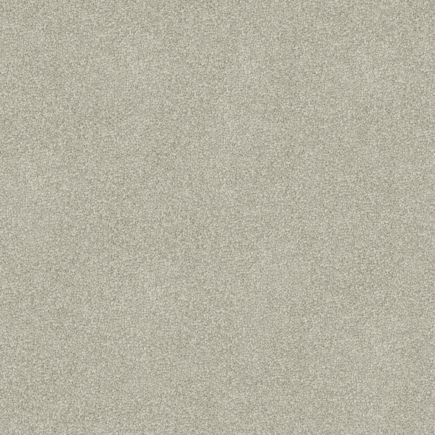 Freedom carpet in Cool Grey