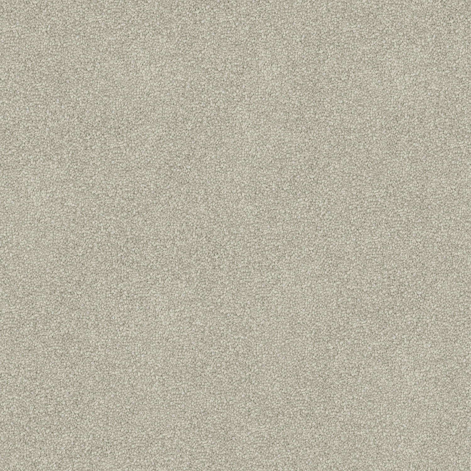 Freedom carpet in Cool Grey