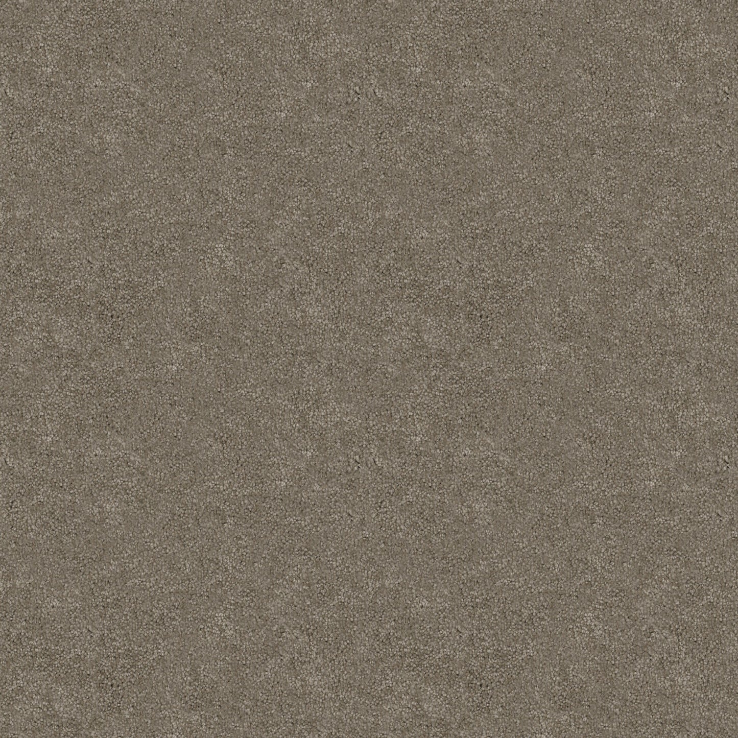 Tivoli carpet in Mocha