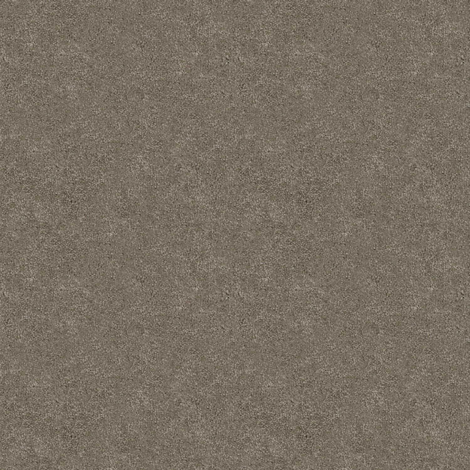 Tivoli carpet in Mocha