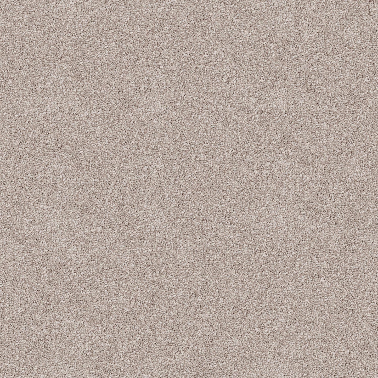 Endless Charm carpet in Parlor