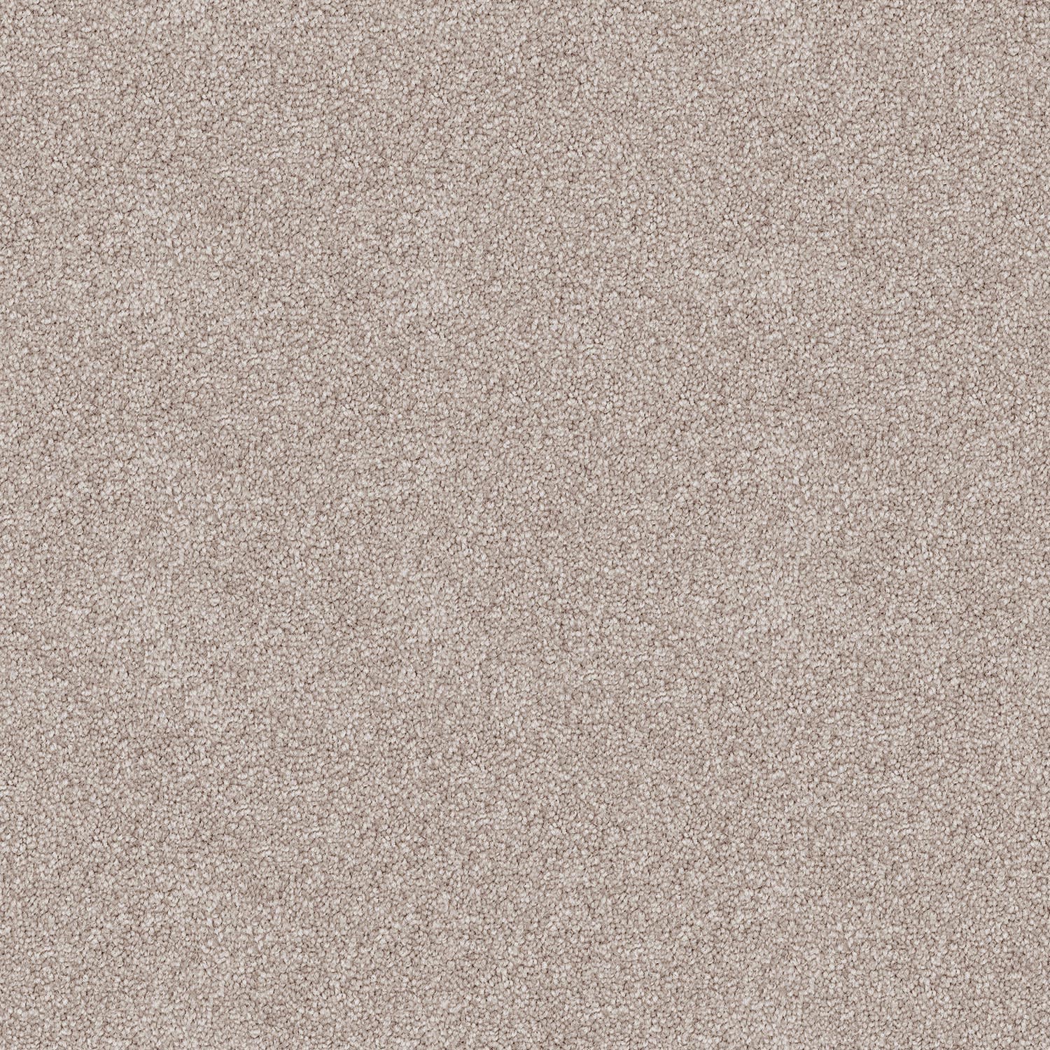 Endless Charm carpet in Parlor