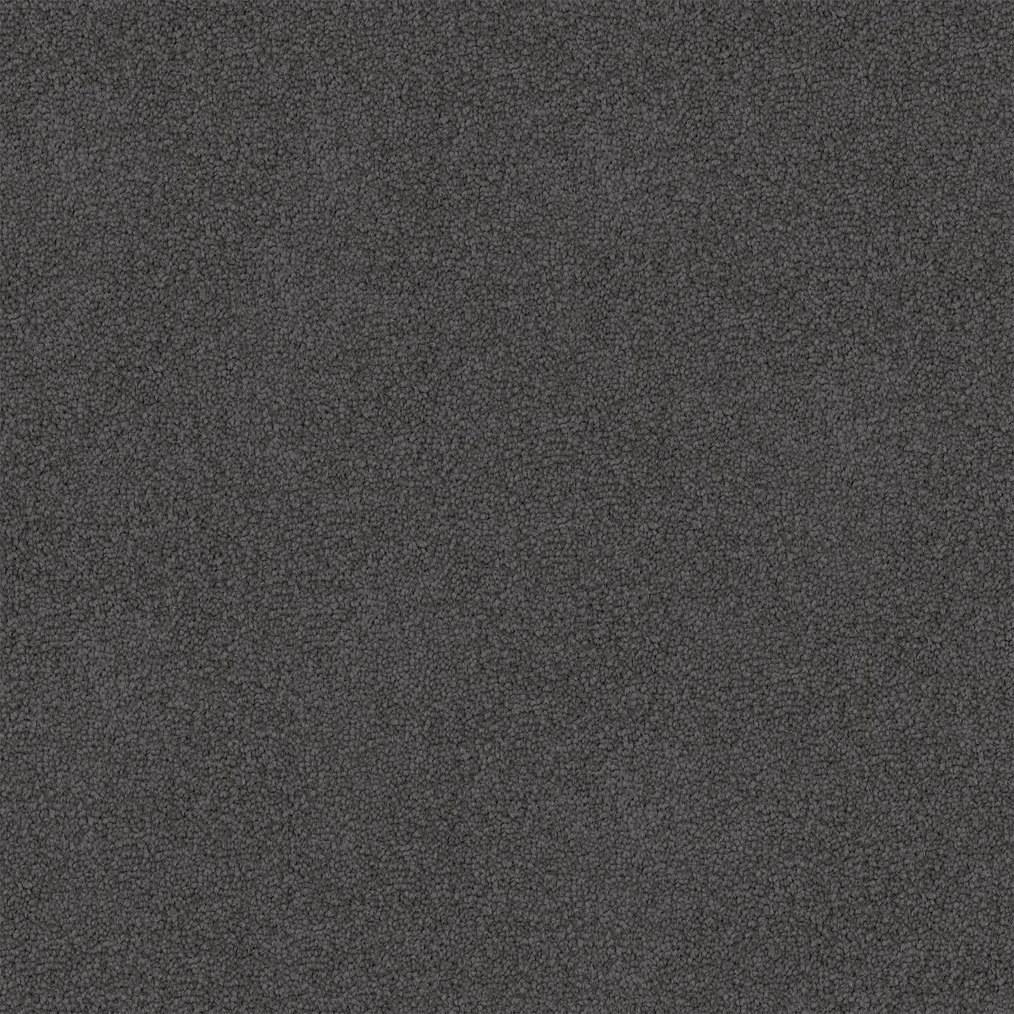 Nightfall carpet in Thunder