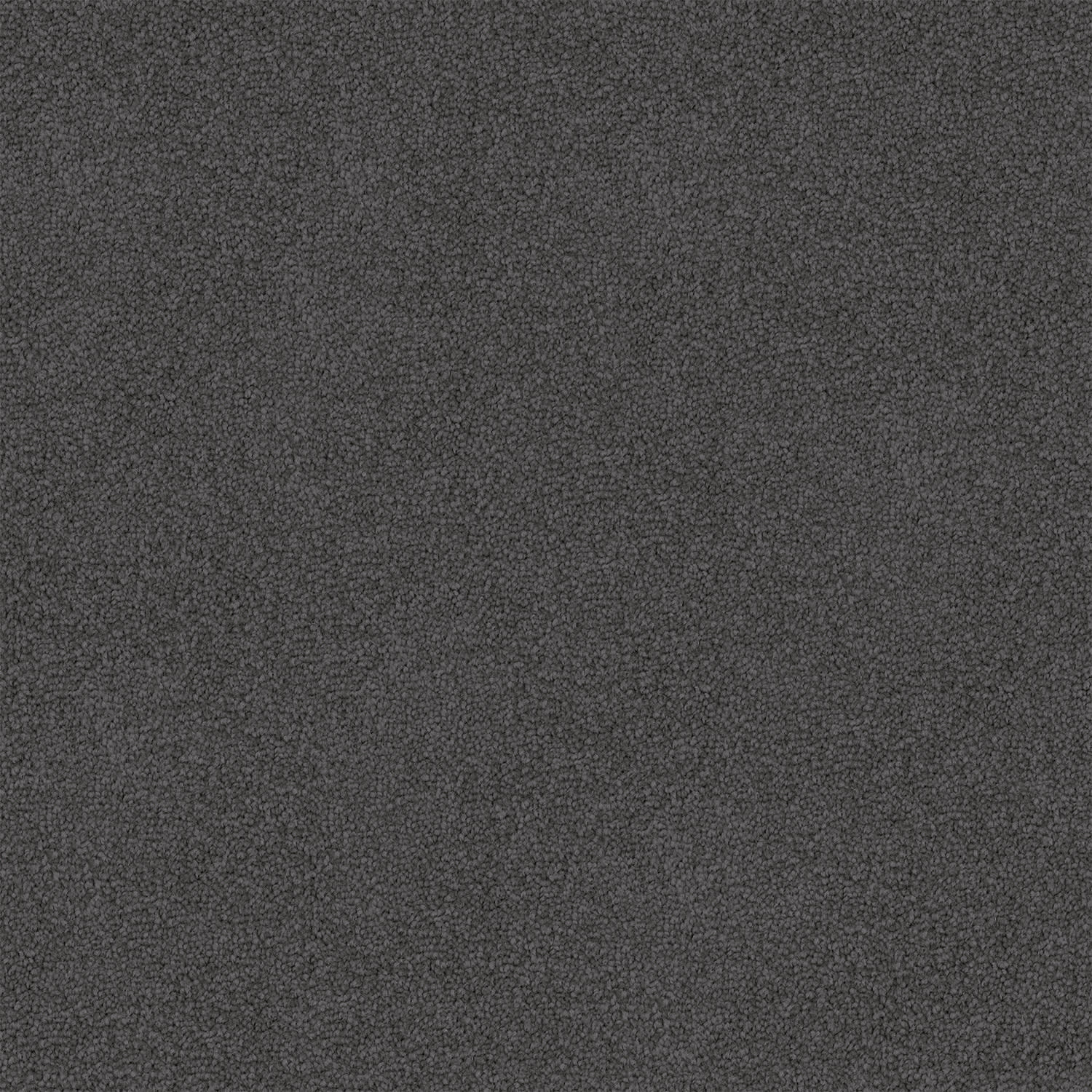 Nightfall carpet in Thunder