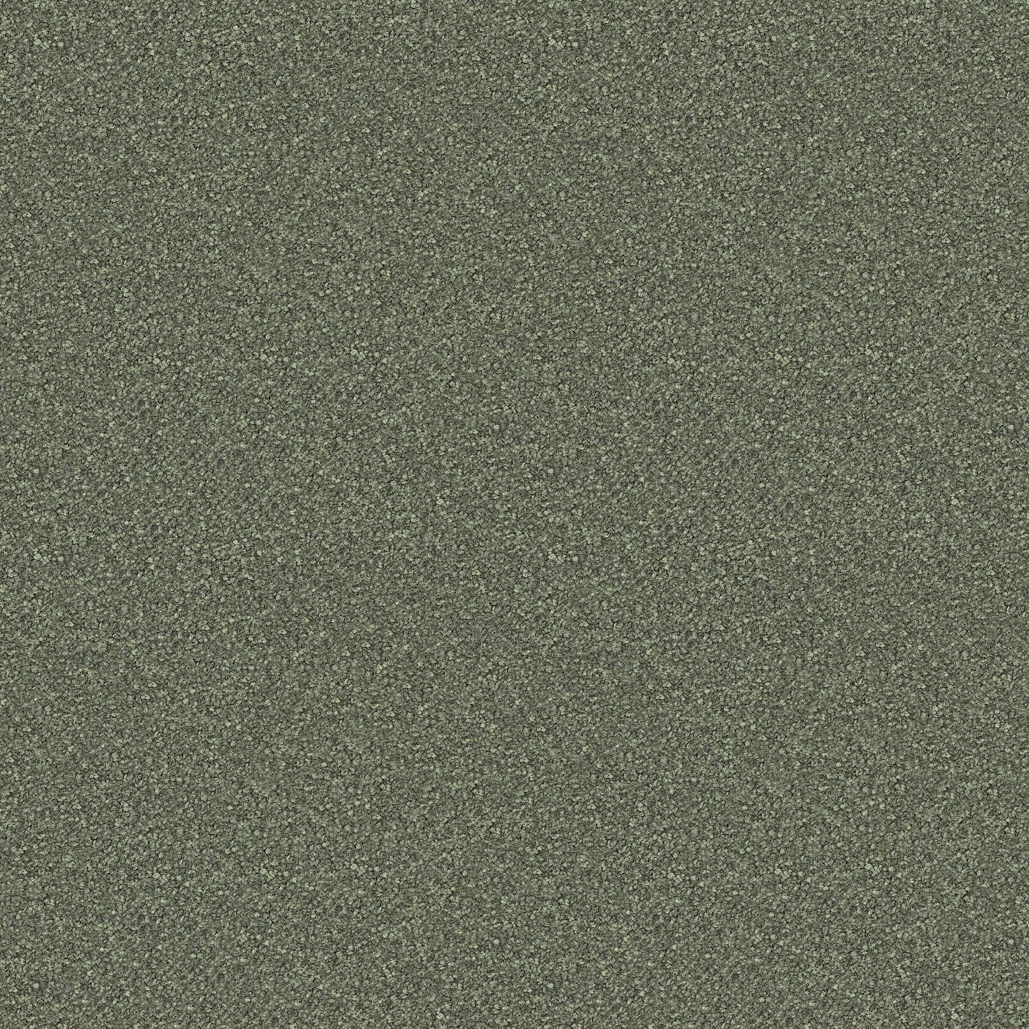 Scenic View carpet in Forest Floor