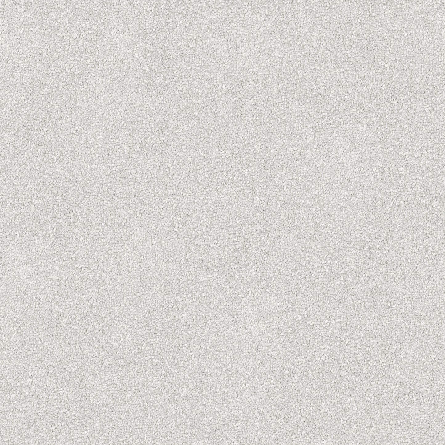 Freedom carpet in Ice Grey