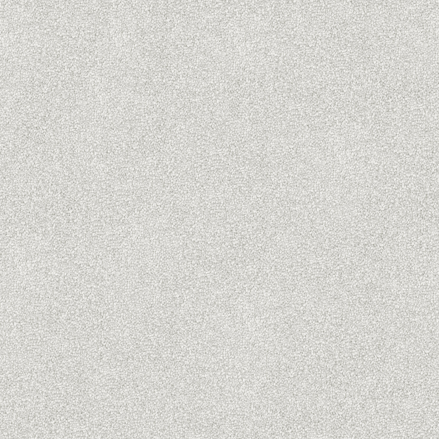 Freedom carpet in Ice Grey