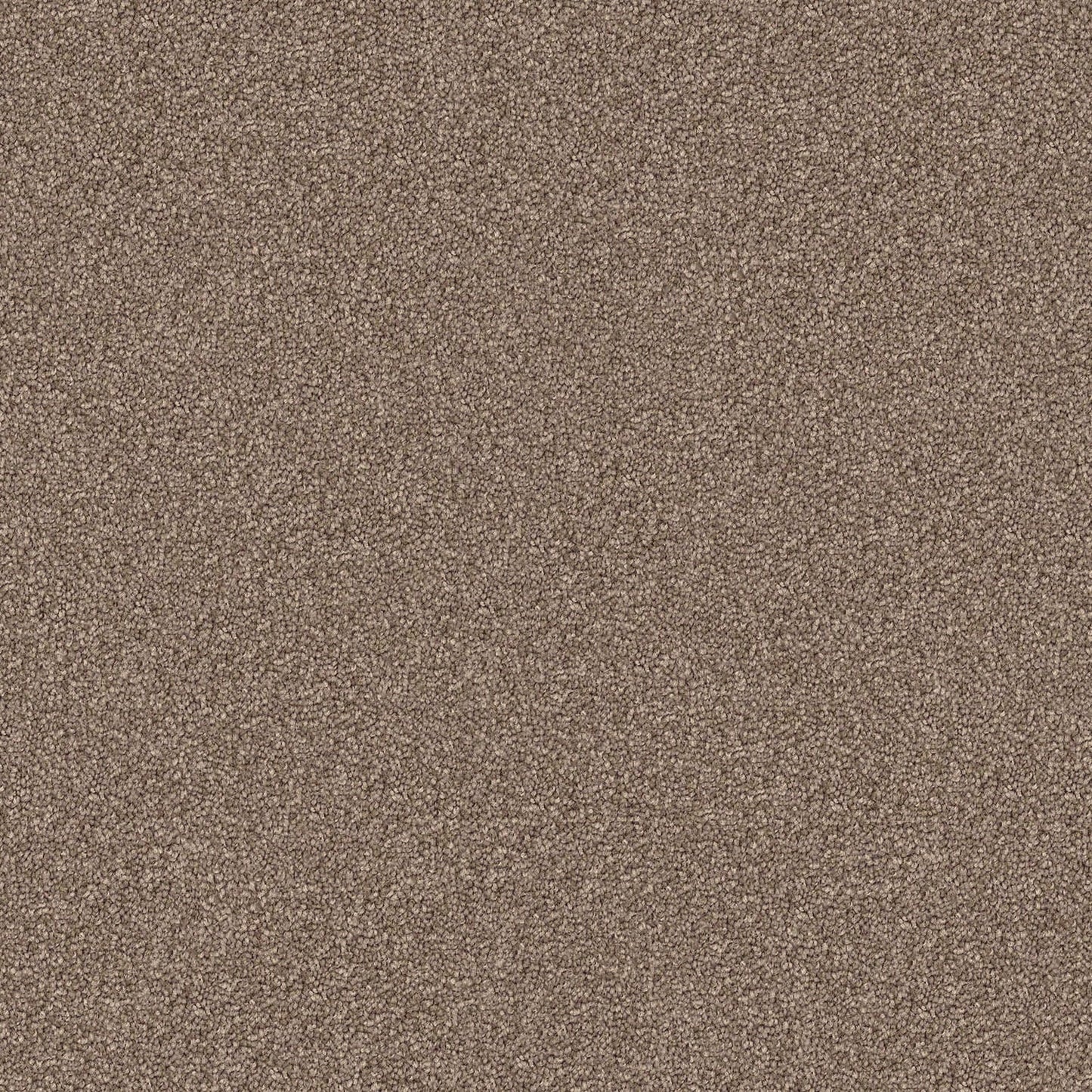 Domain Rise carpet in Charlie Brown