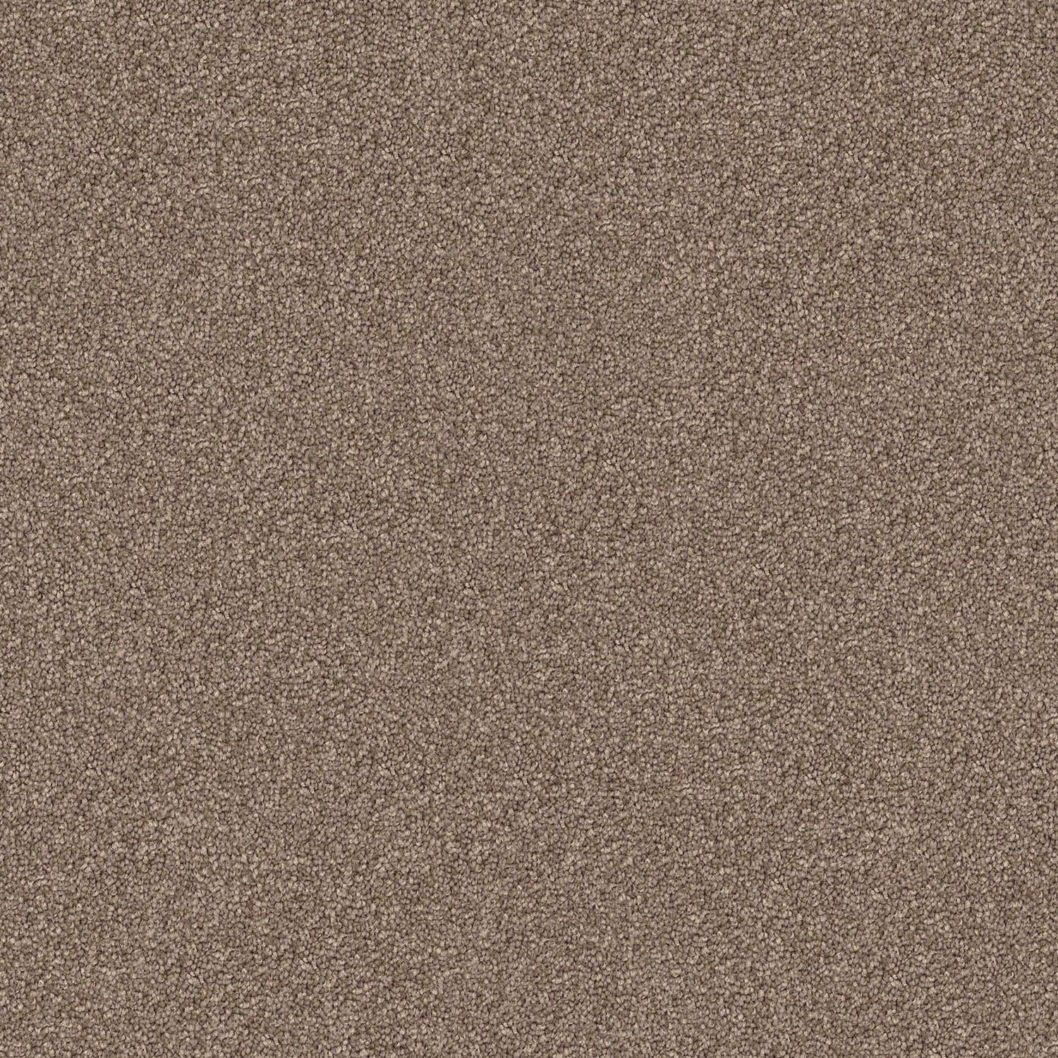 Domain Rise carpet in Charlie Brown