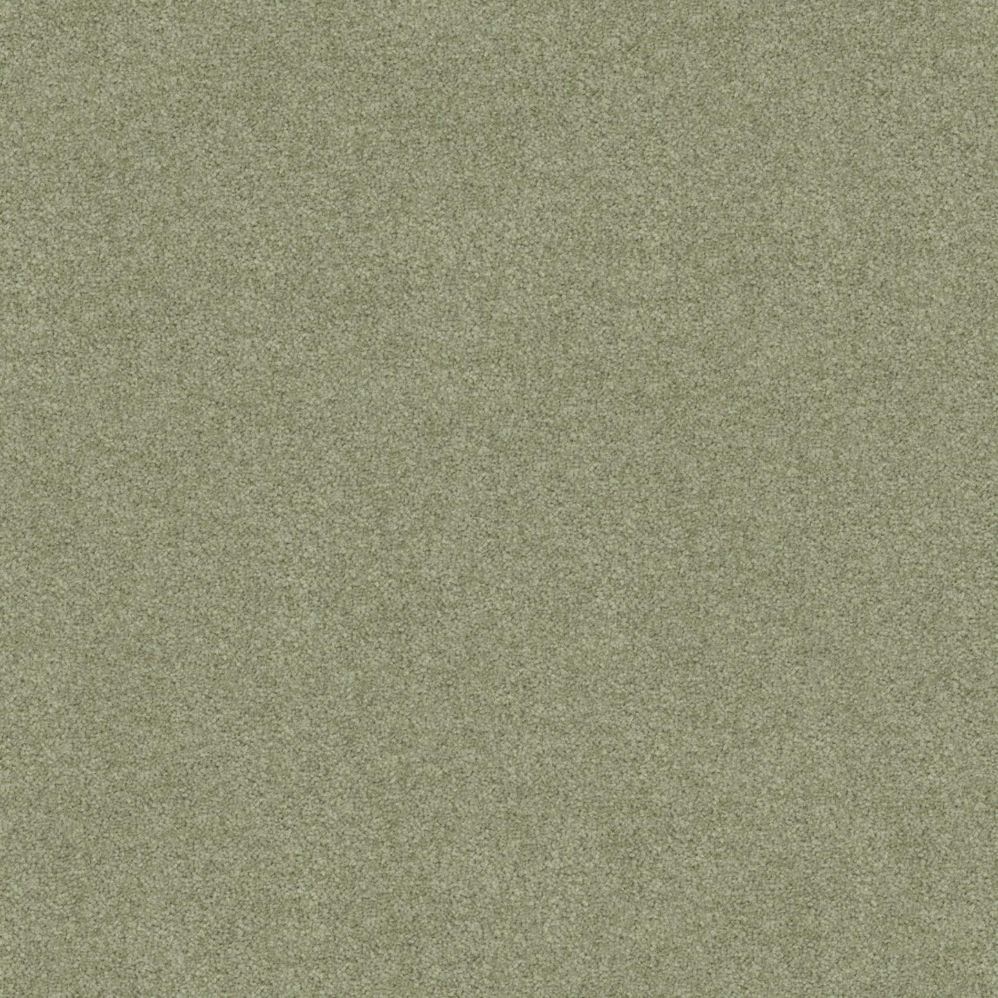 Freedom carpet in Everglades