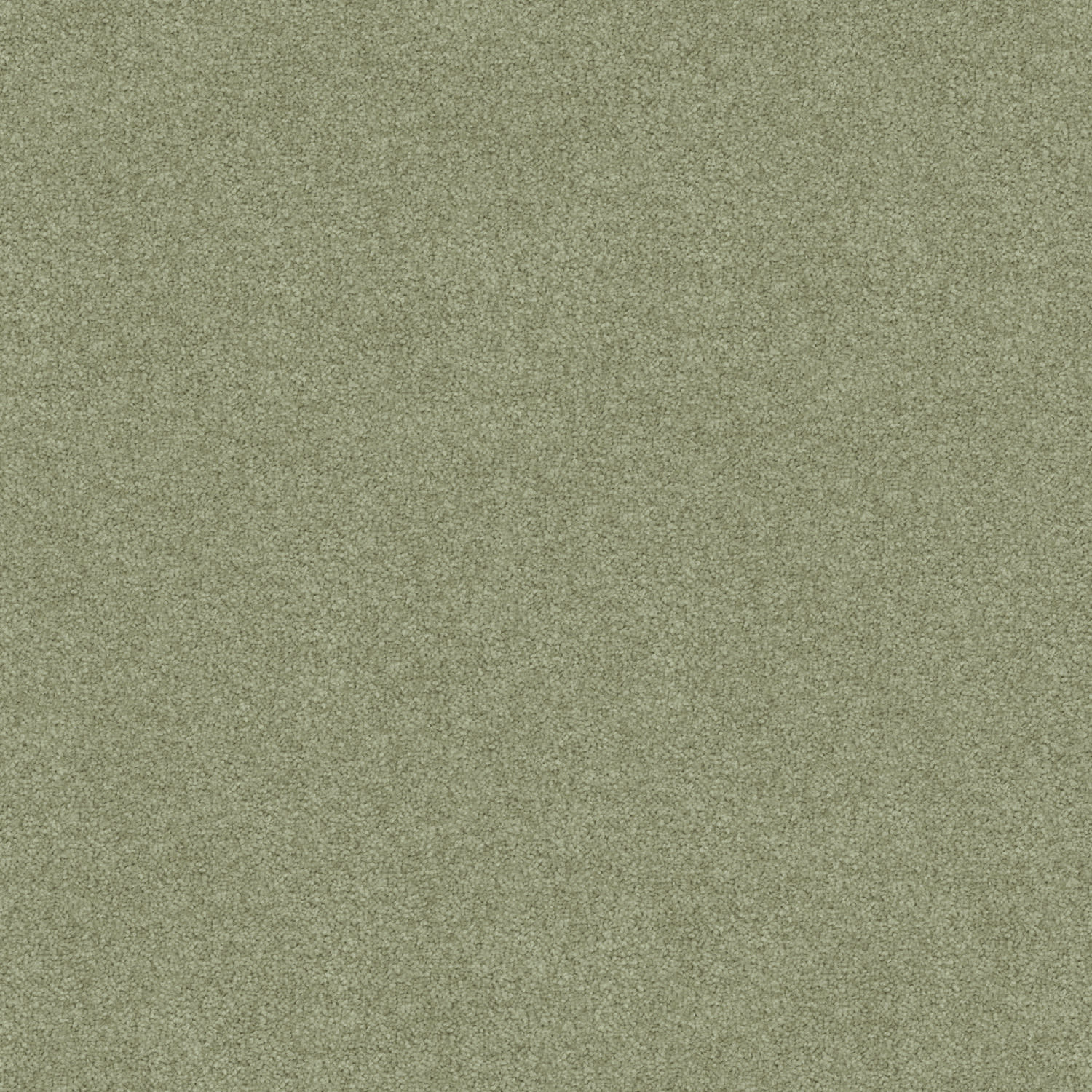 Freedom carpet in Everglades