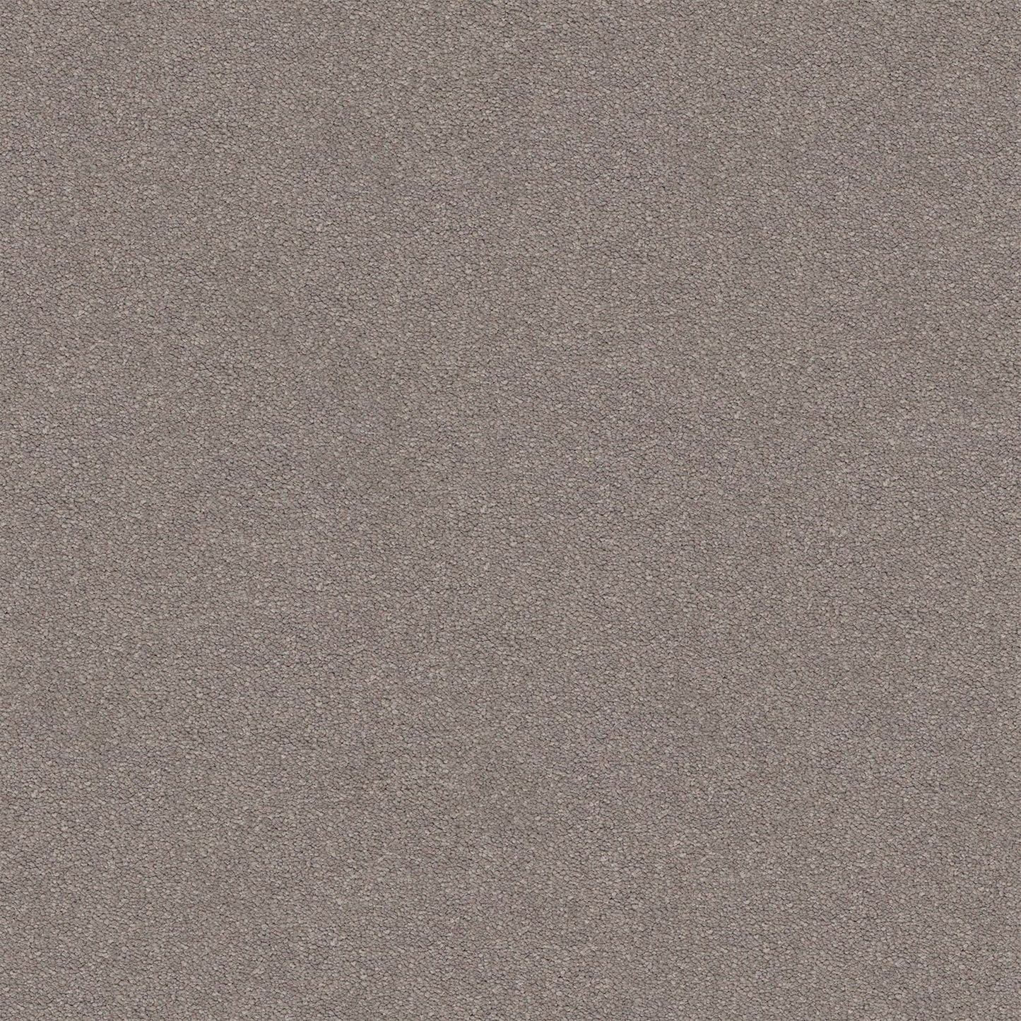 Dream Shadows carpet in Bison
